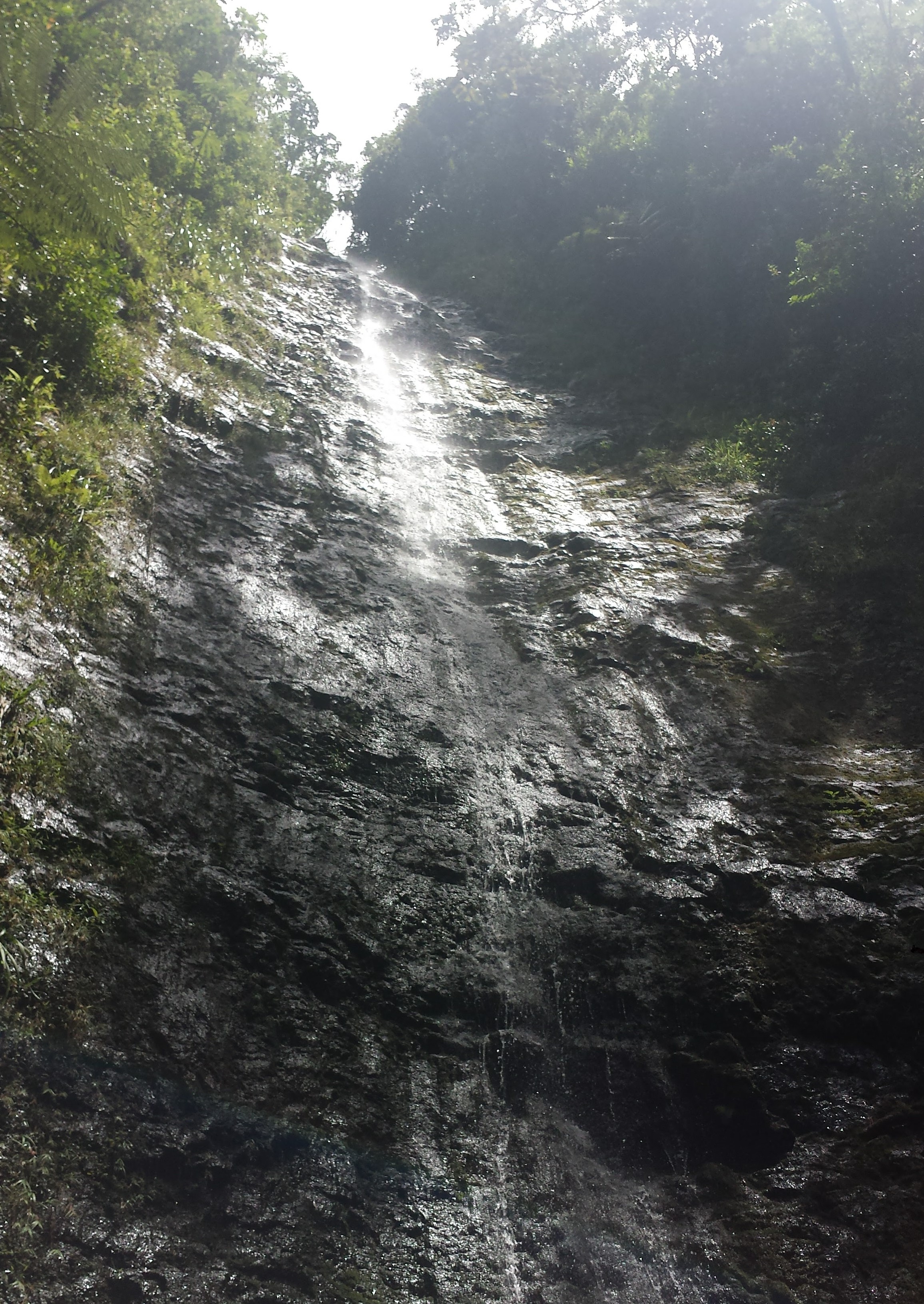 A view of the Manoa Falls, one of the best waterfall hikes in Oahu