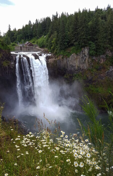 Daisies and the towering waterfall of Snoqualmie - the best day trips from Seattle