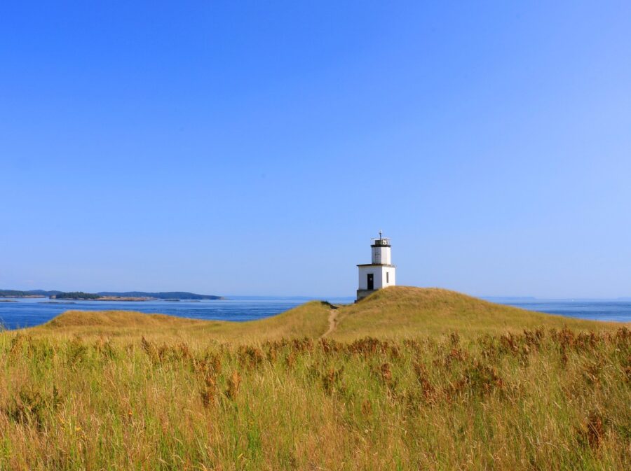 A grassy field and a lighthouse on San Juan Island near Seattle