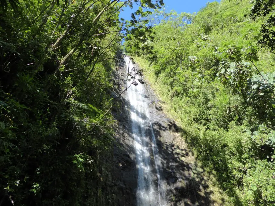 One of the most stunning waterfall hikes in Oahu - the majestic Manoa Falls, peacking through the foliage.