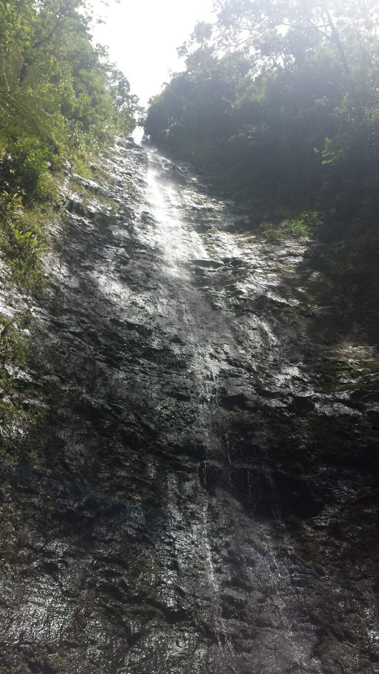 The 10 Best Waterfall Hikes in Oahu