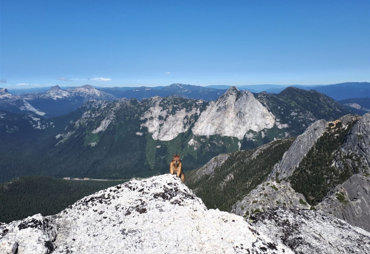 22 Incredible Hikes near Vancouver - Walk a While with Me