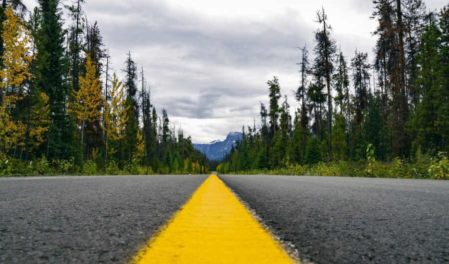 An empty highway surrounded by forests and the Canadian Rockies in the distance - what you'll see on a Canadian Rockies road trip