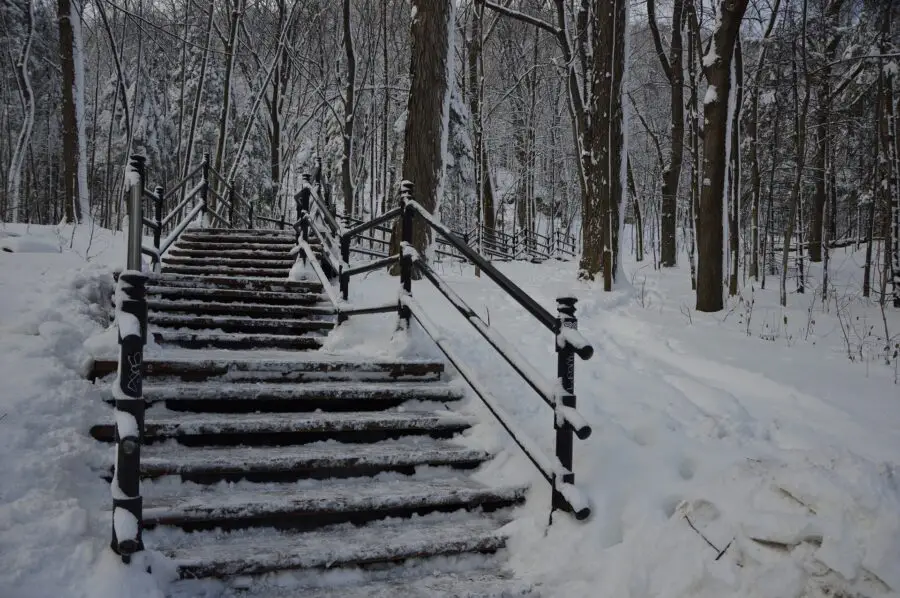 A snow-covered wooden staircase surrounded by barren trees and thick snow on the hike going up Mount Royal - one of the best things to do in the winter in Montreal!