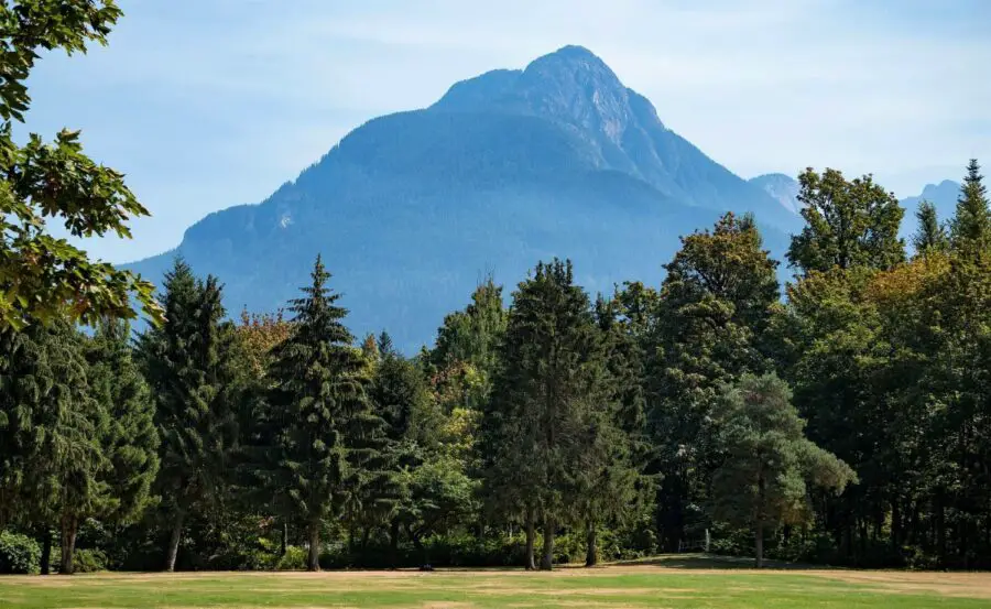A tall mountain, numerous bushy green trees, and some recently cut grass at a camping site in Hope BC