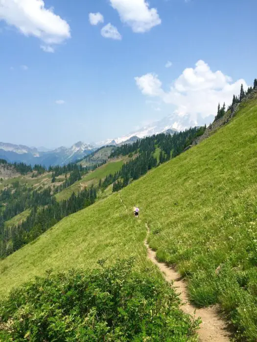 A couple of people on a narrow hiking path surrounded by green grass on a steep hill on Mount Rainier WA on a bright, sunny day