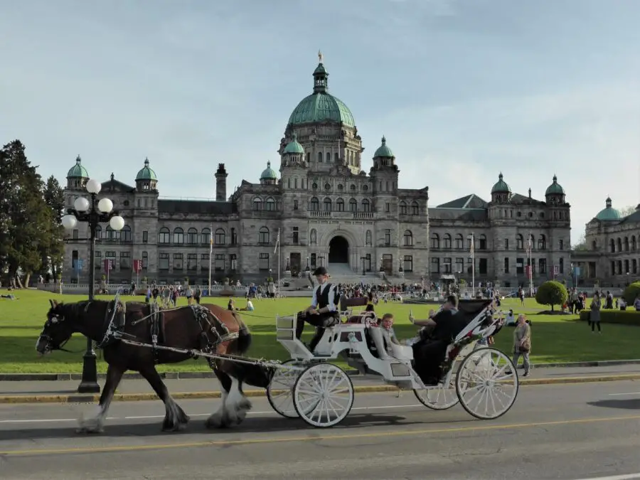 A white horse-drawn carriage in front of the long green lawn in front of the provincial Parliament Buildings of British Columbia, one of the best places to visit in Victoria BC