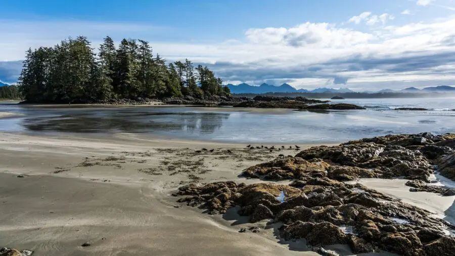 Tofino British Columbia - One of the best weekend getaways from Vancouver