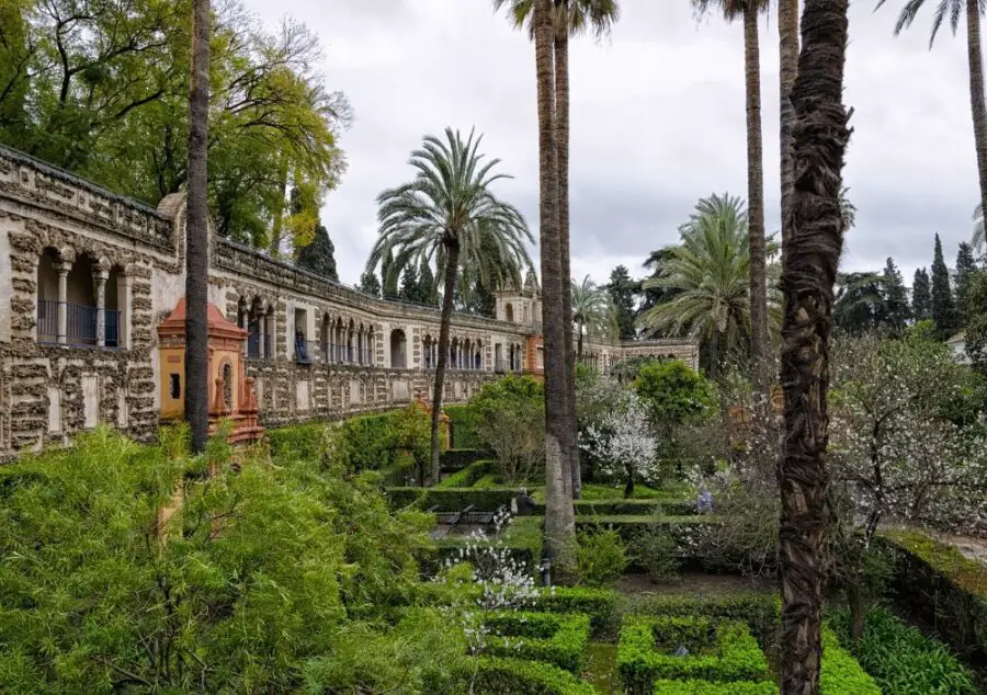 The lush green gardens of the Real Alcazar of Seville filled with shrubs and palm trees, a stop on our self-guided Seville walking tour.